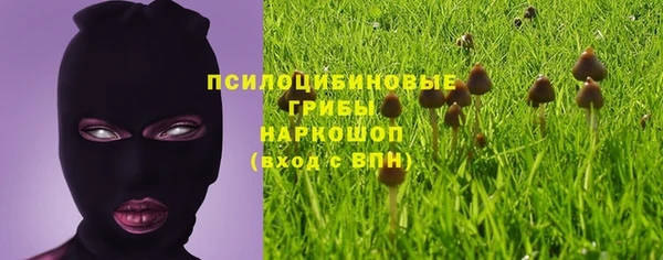 соль ск Алзамай