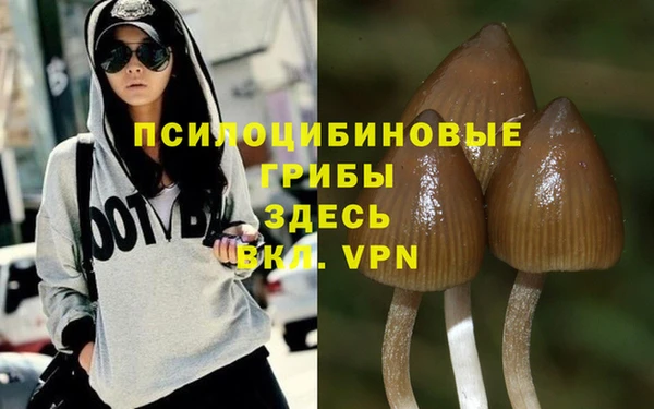 марихуана Абаза